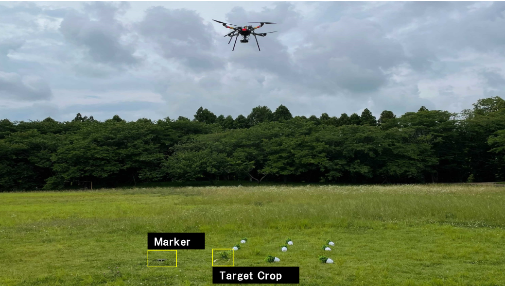 Drone hovering over field with target diseased crop marked